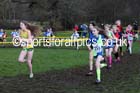Girls under-13 Northern Cross Country Champs., Witton Park, Blackburn. Photo: David T. Hewitson/Sports for All Pics